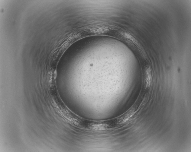 X0000053050268200507251431