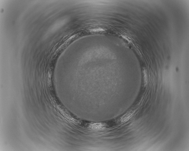 X0000053050269200507251431