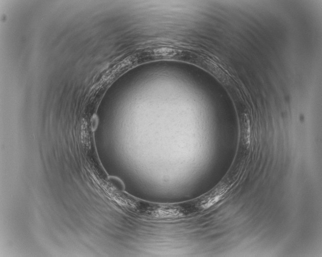 X0000053050270200507251431