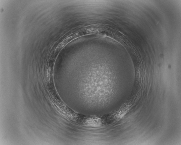 X0000053050271200507251431