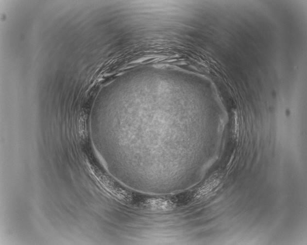 X0000053050272200507251431