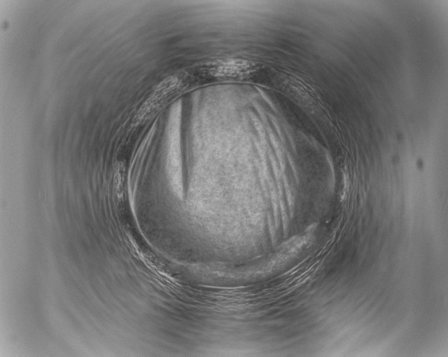 X0000053050273200507251431