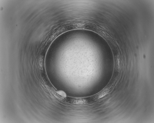 X0000053050274200507251431