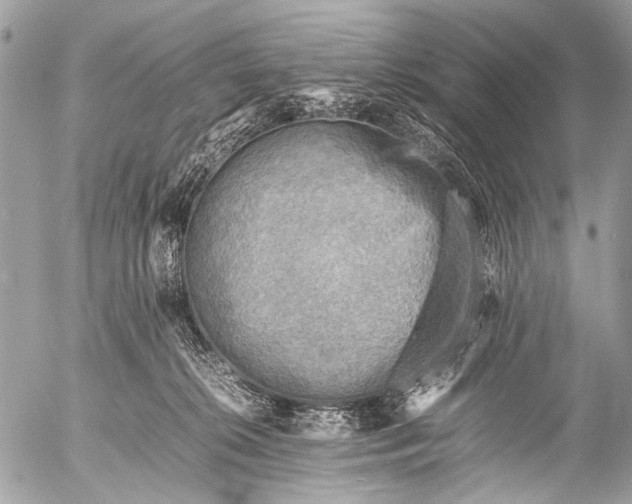 X0000053050276200507251431