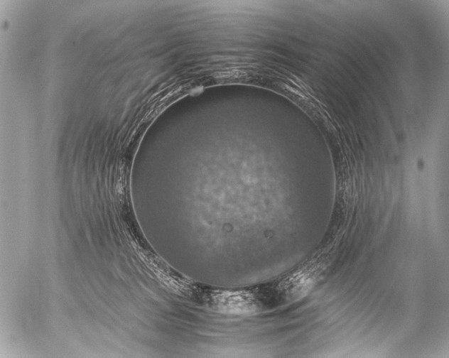 X0000053050277200507251431