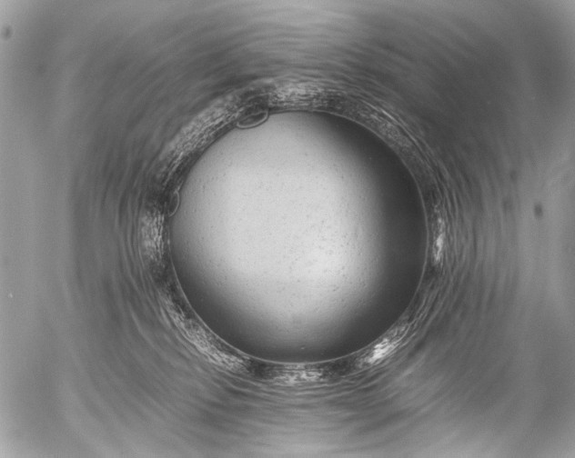 X0000053050278200507251431