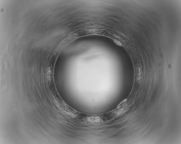 X0000053050279200507251431