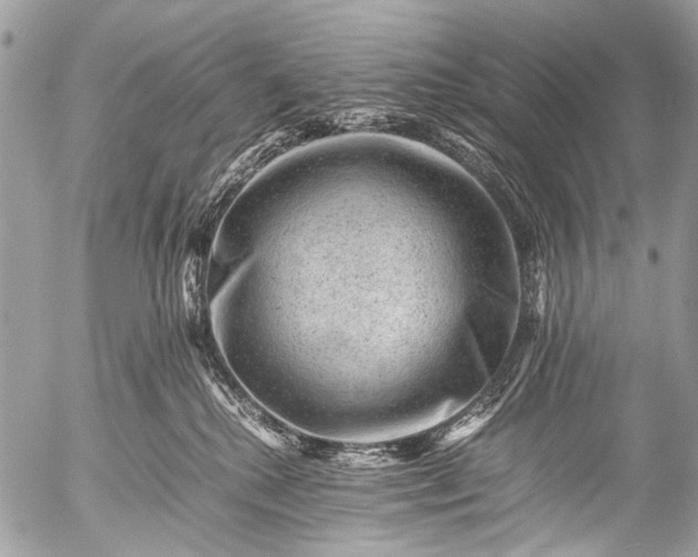 X0000053050280200507251431