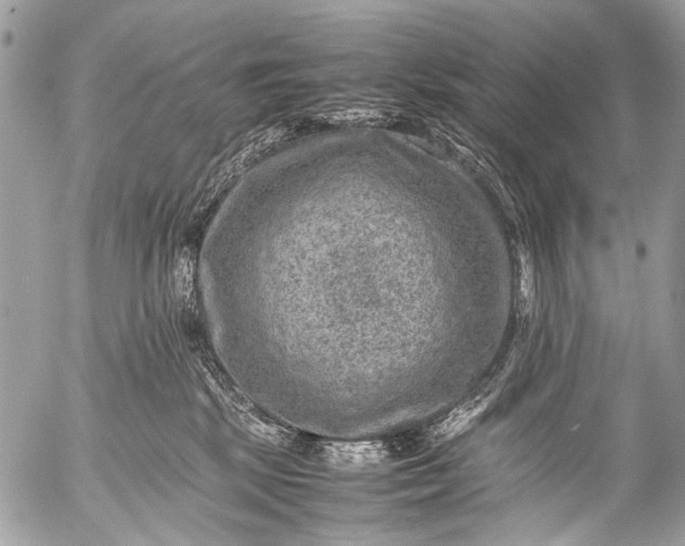 X0000053050281200507251431