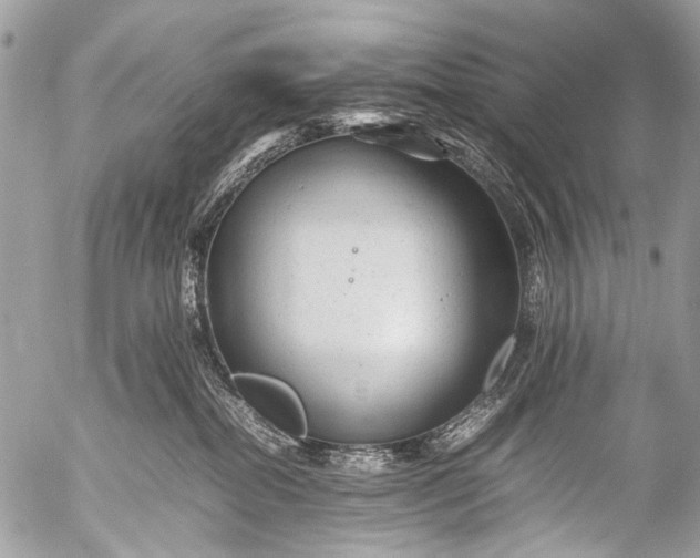 X0000053050282200507251431