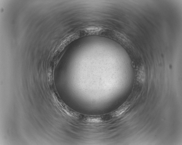 X0000053050283200507251431