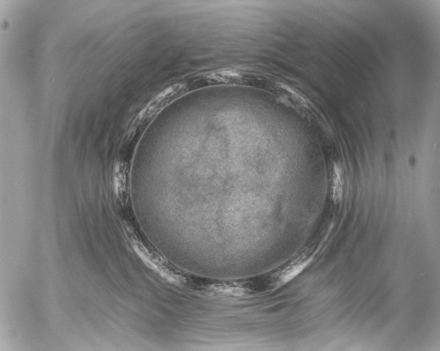 X0000053050284200507251431