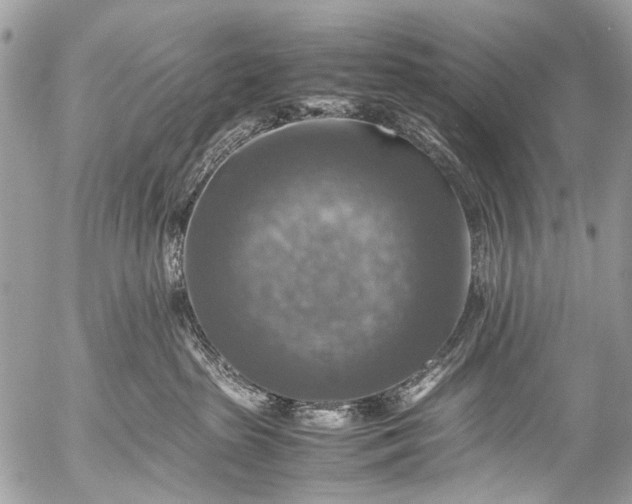 X0000053050285200507251431