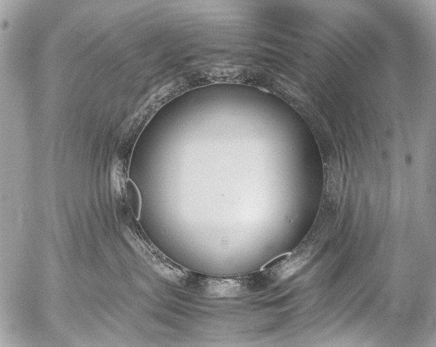 X0000053050287200507251431