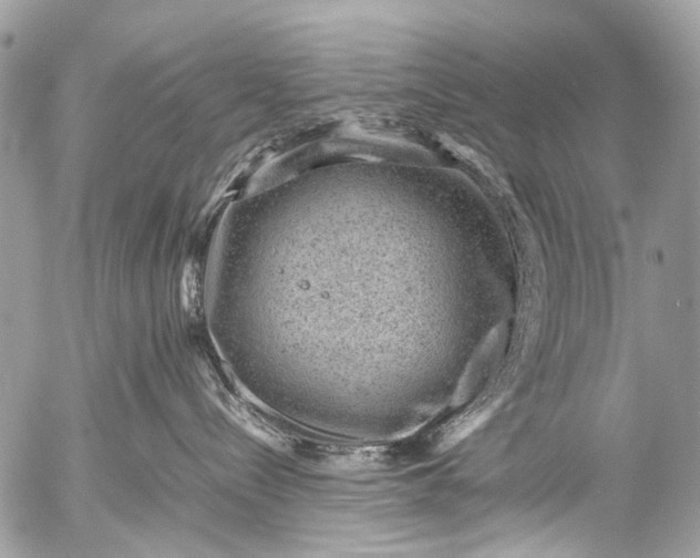 X0000053050288200507251431