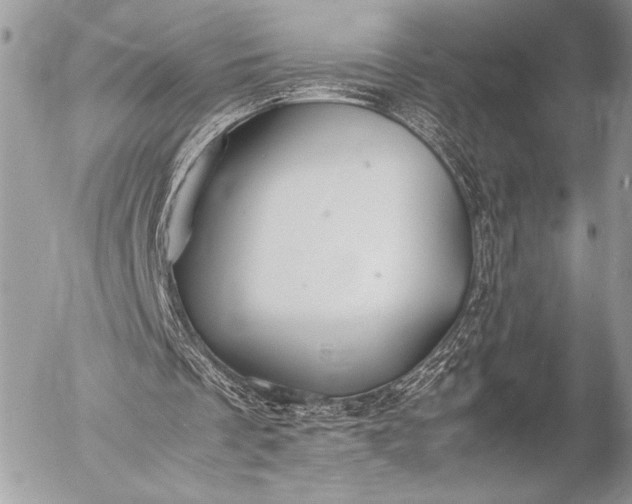 X0000053050289200507251430