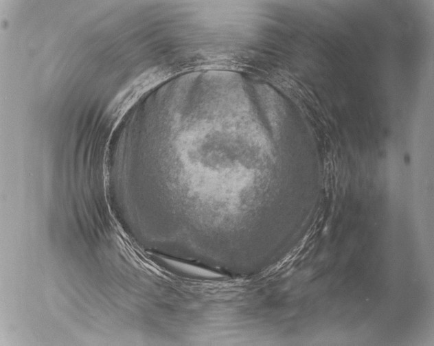 X0000053050290200507251430