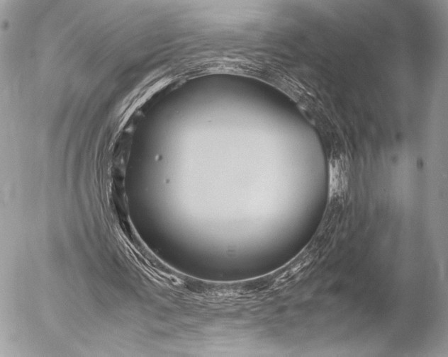 X0000053050291200507251430