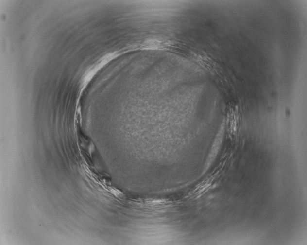 X0000053050292200507251430