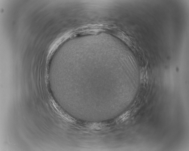 X0000053050293200507251430