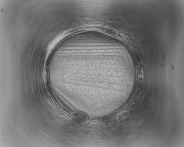 X0000053050294200507251430