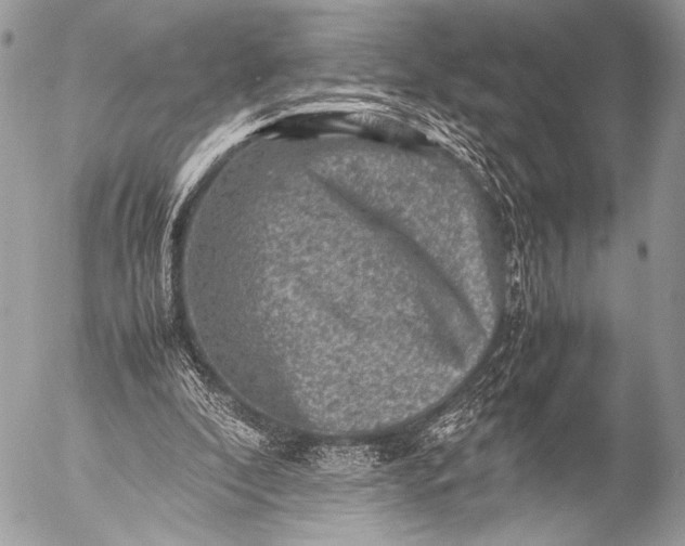 X0000053050296200507251430