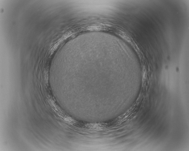 X0000053050297200507251430