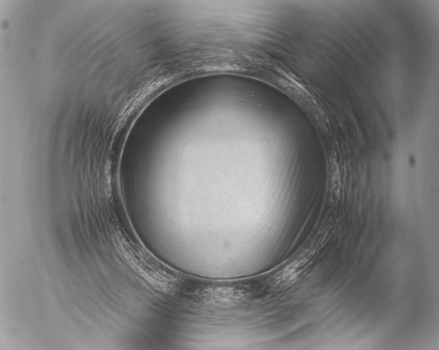 X0000053050298200507251430