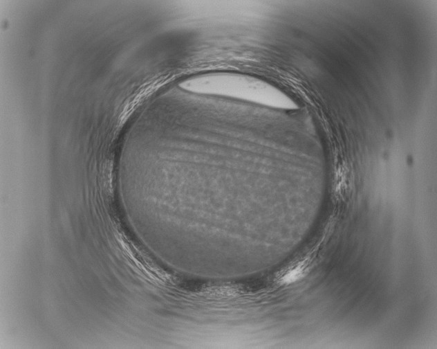 X0000053050299200507251430