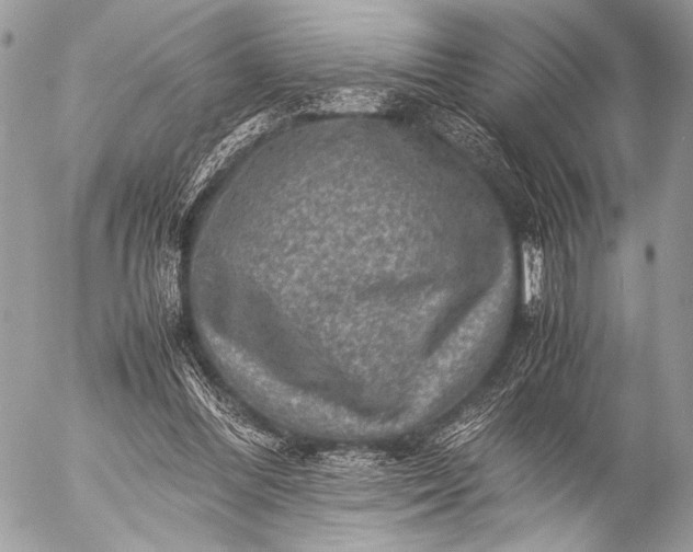 X0000053050300200507251430