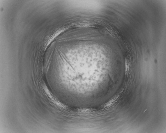 X0000053050301200507251430