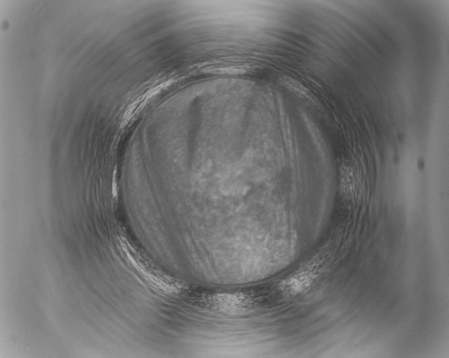 X0000053050302200507251430