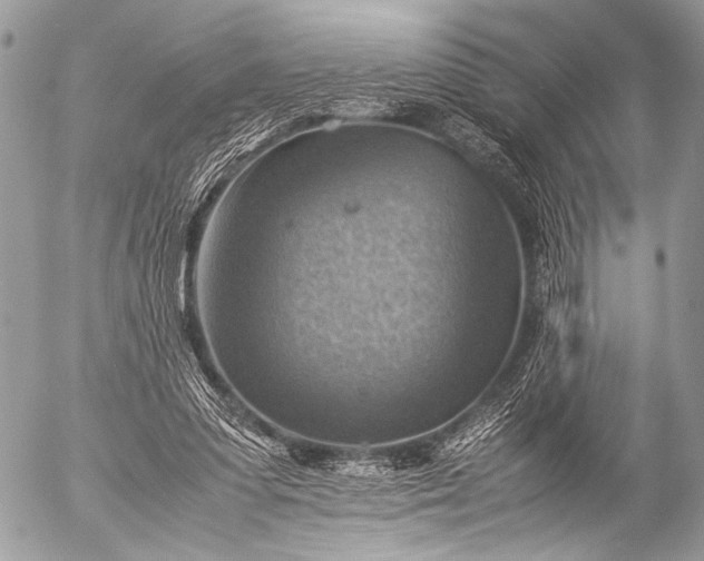 X0000053050303200507251430