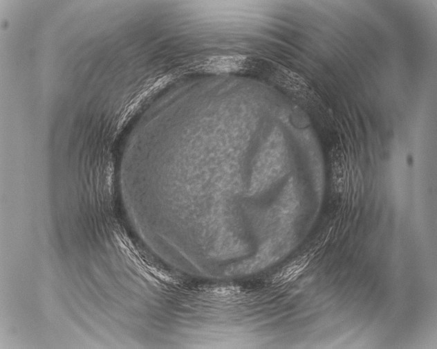 X0000053050304200507251430