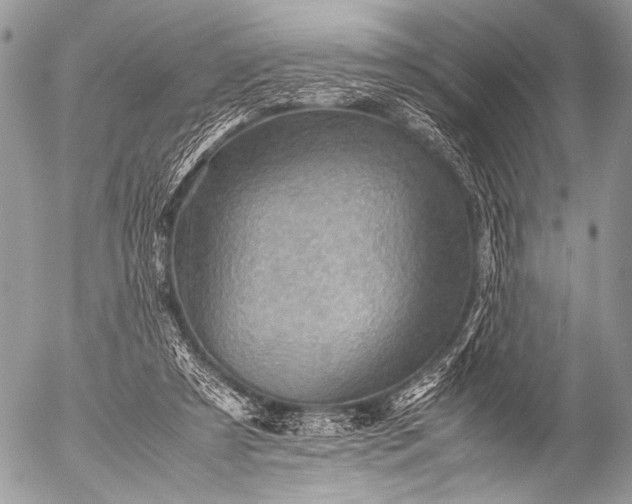 X0000053050305200507251430