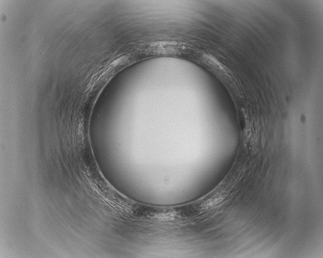 X0000053050306200507251430