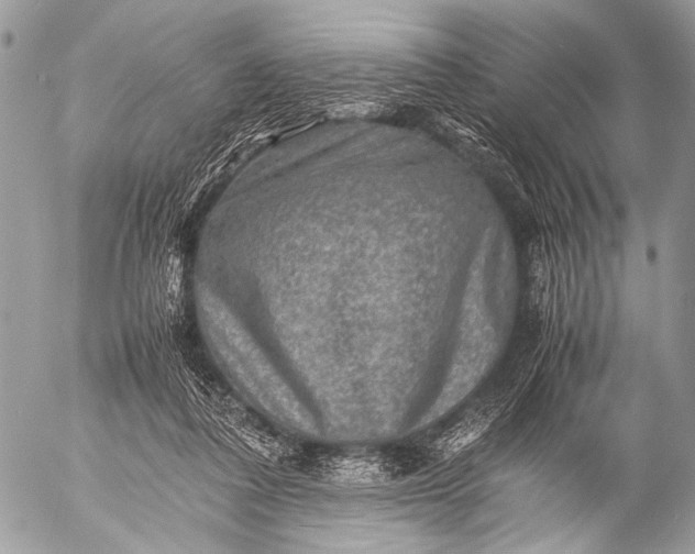 X0000053050308200507251430