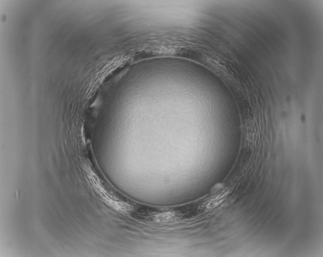 X0000053050309200507251430