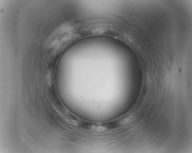 X0000053050311200507251430