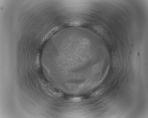 X0000053050312200507251430