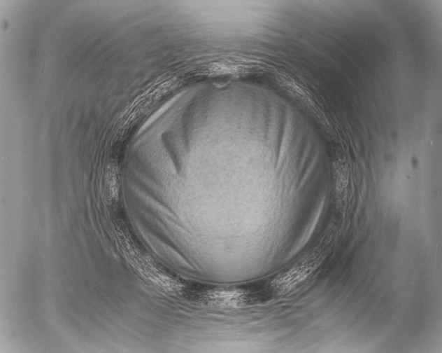 X0000053050313200507251430