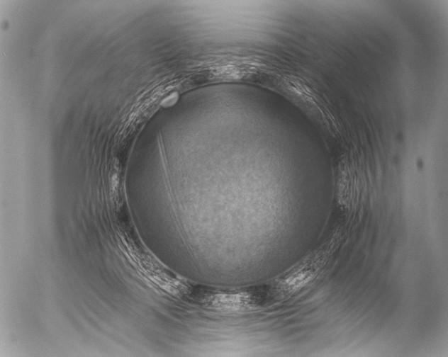 X0000053050314200507251430