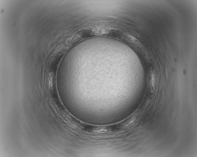 X0000053050315200507251430