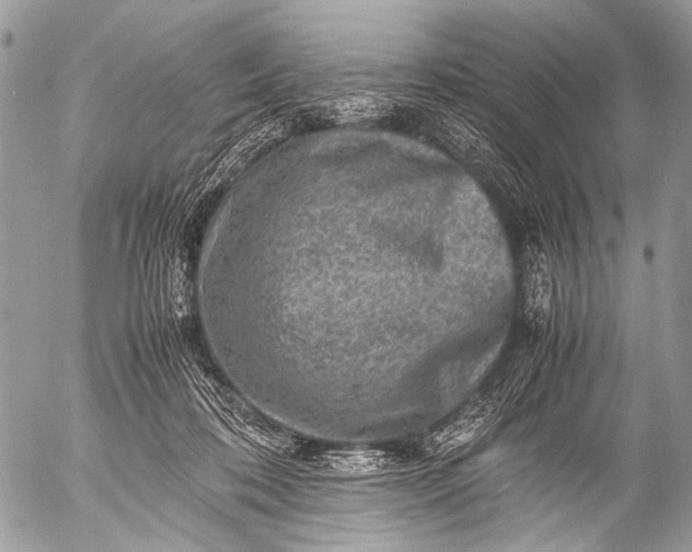 X0000053050316200507251430