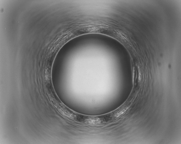 X0000053050317200507251430