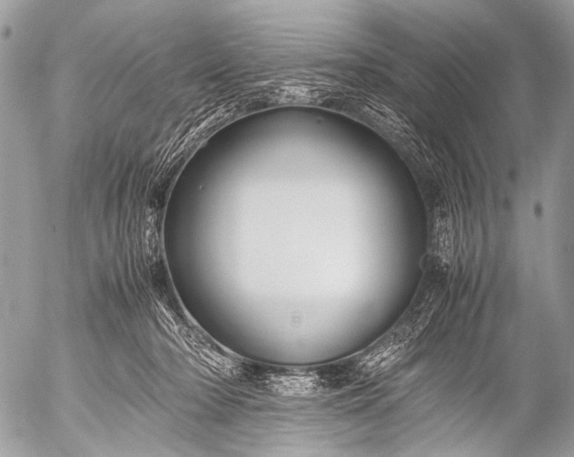 X0000053050318200507251430