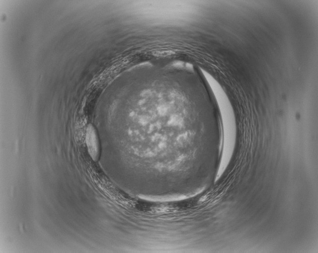 X0000053050319200507251430