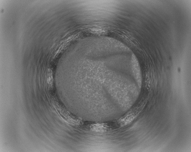 X0000053050320200507251430