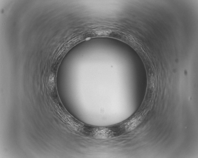 X0000053050321200507251430