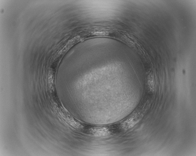 X0000053050322200507251430